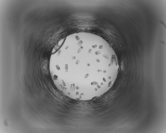 X0000099931396200806131352