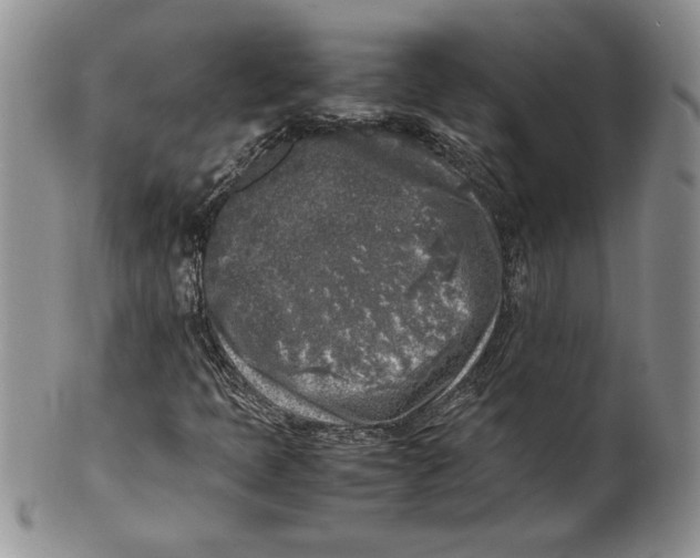 X0000099931397200806131352