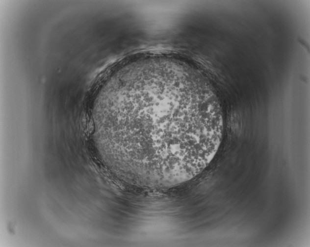 X0000099931398200806131352