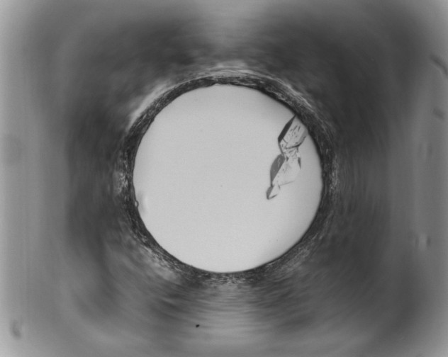 X0000099931400200806131352