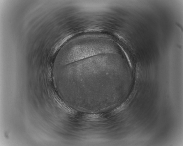 X0000099931401200806131352