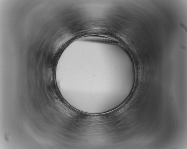 X0000099931402200806131352