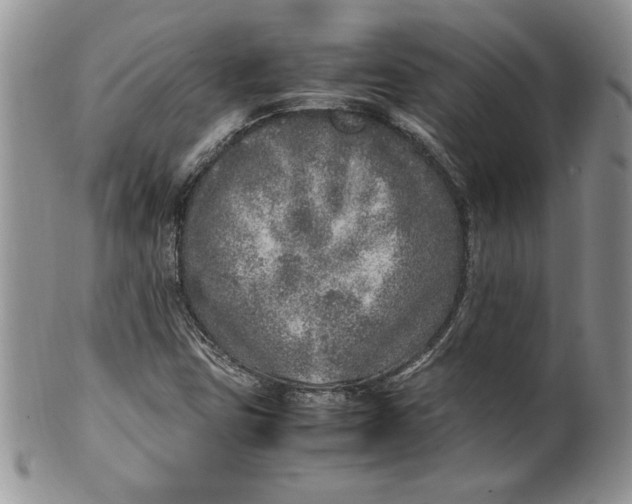 X0000099931403200806131352