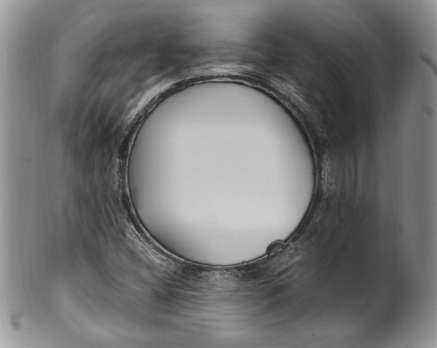 X0000099931404200806131352