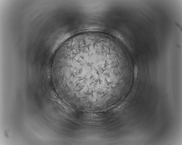 X0000099931405200806131352