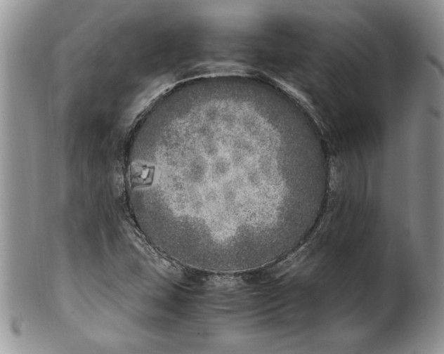 X0000099931407200806131352