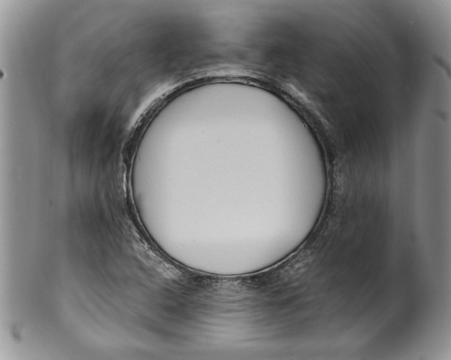 X0000099931408200806131352