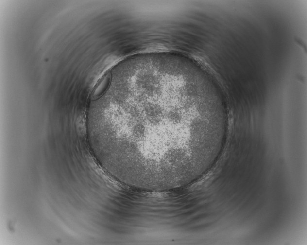 X0000099931409200806131352