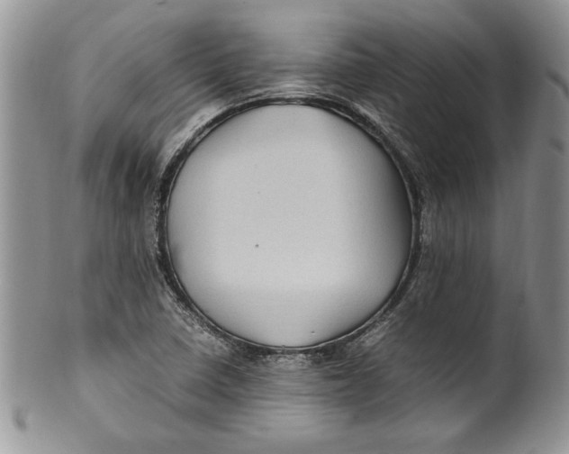 X0000099931410200806131352