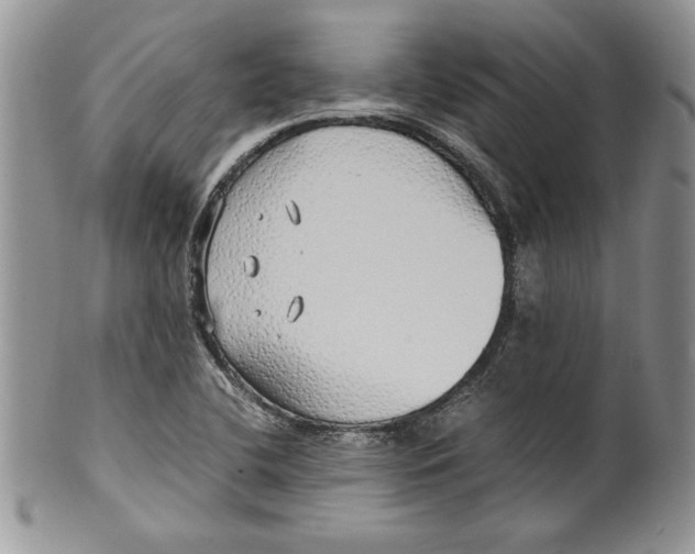 X0000099931412200806131352