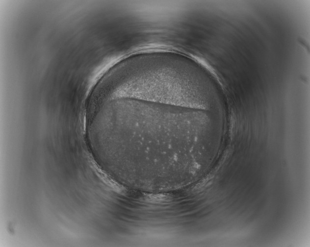 X0000099931413200806131352