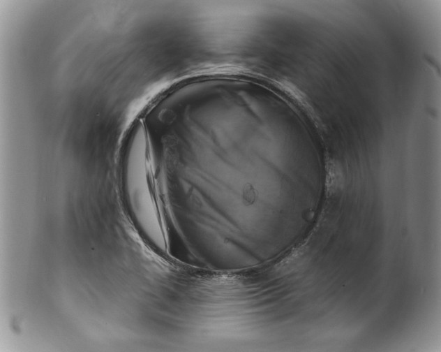 X0000099931414200806131352