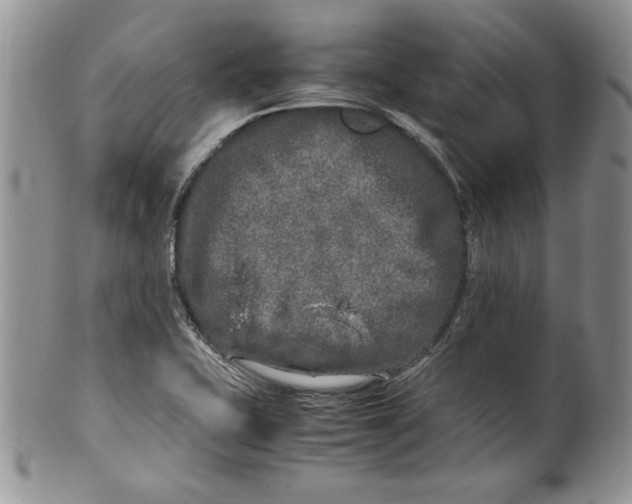 X0000099931415200806131352