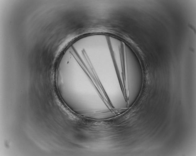 X0000099931416200806131352