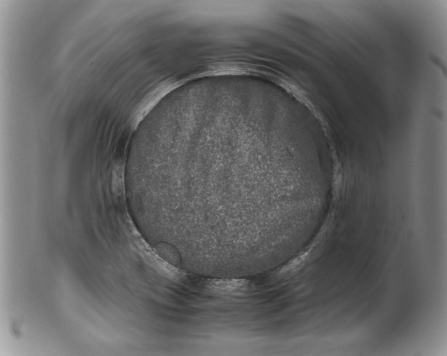 X0000099931417200806131352