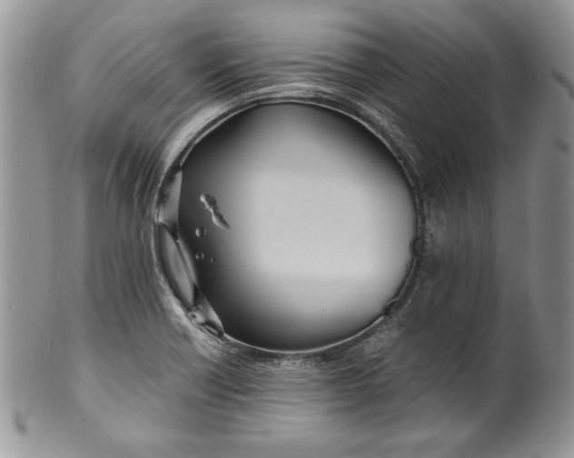 X0000099931418200806131352