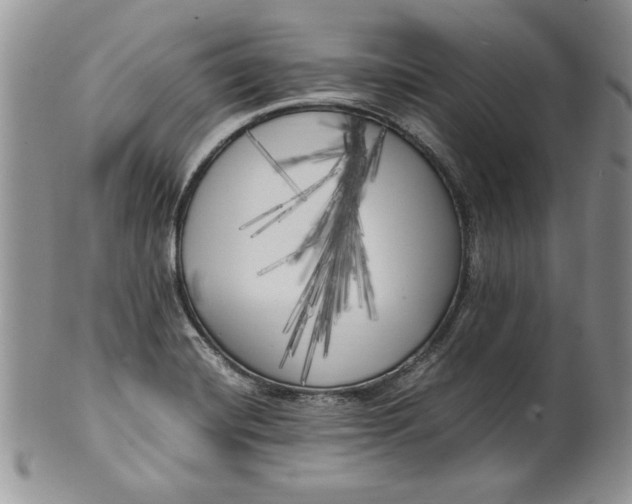 X0000099931420200806131352