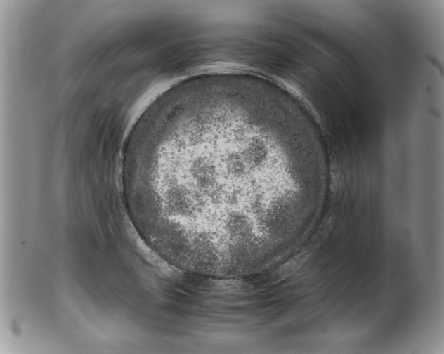 X0000099931421200806131352