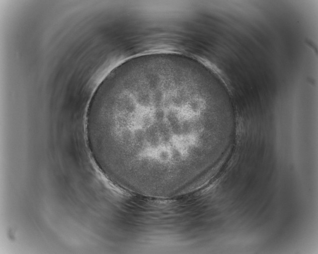 X0000099931423200806131352