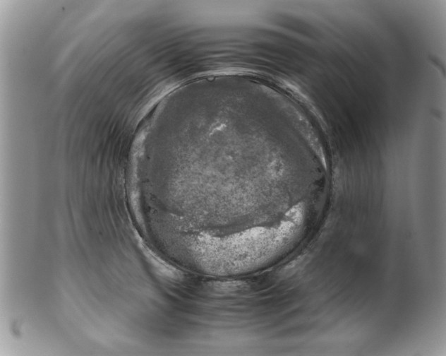 X0000099931425200806131352