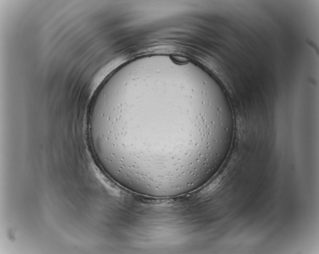 X0000099931426200806131352