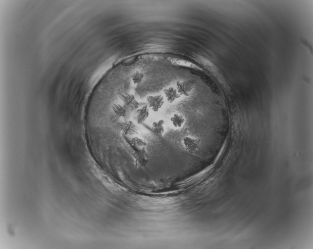 X0000099931427200806131352