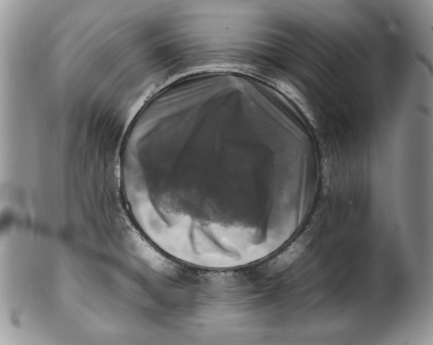 X0000099931428200806131352