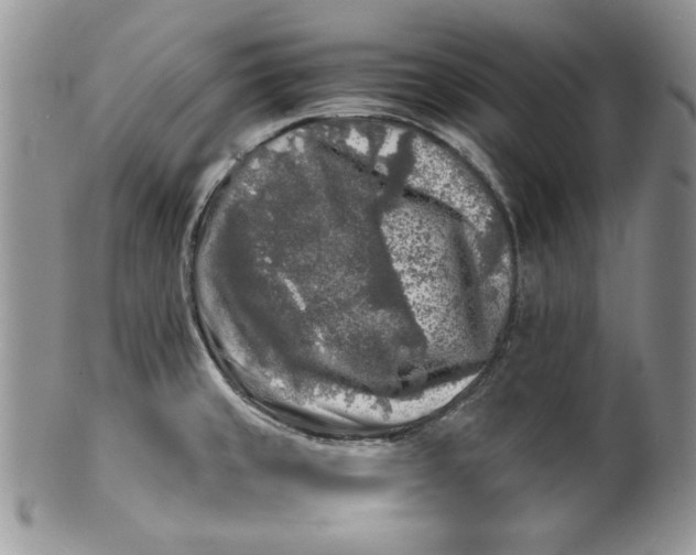 X0000099931429200806131352