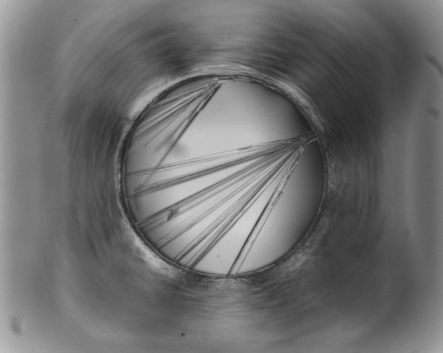 X0000099931430200806131352