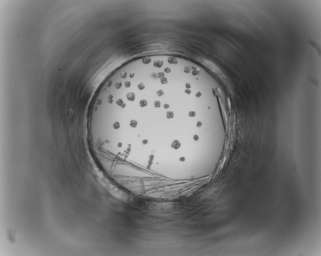 X0000099931431200806131352