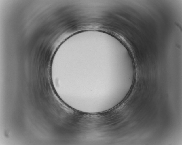 X0000099931432200806131352