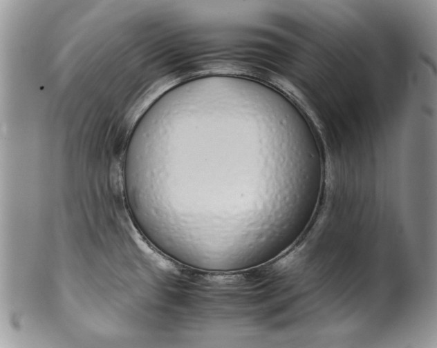 X0000099931433200806131352