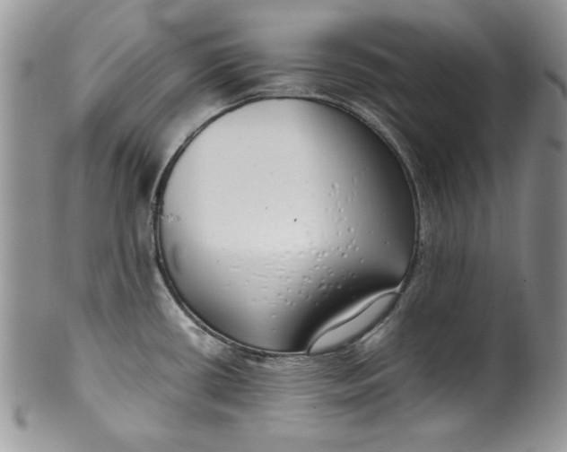 X0000099931434200806131352