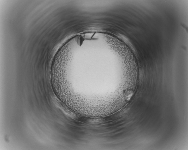 X0000099931435200806131352