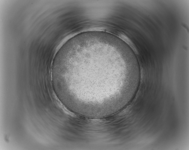 X0000099931436200806131352