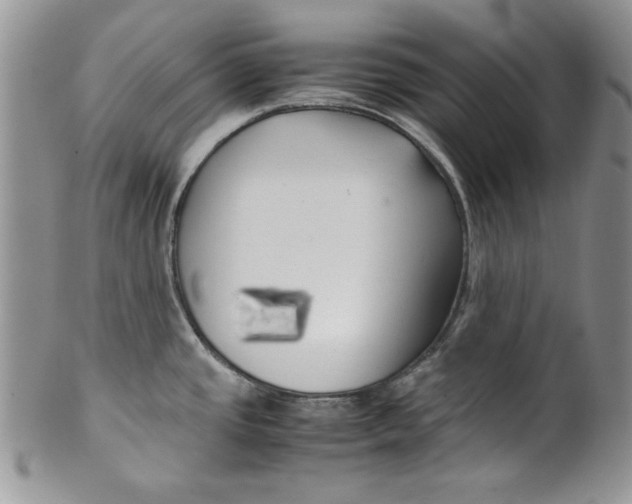 X0000099931437200806131352