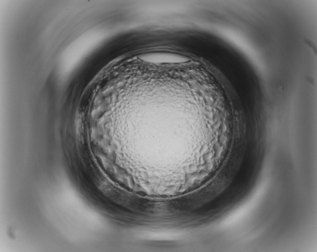 X0000099931438200806131352