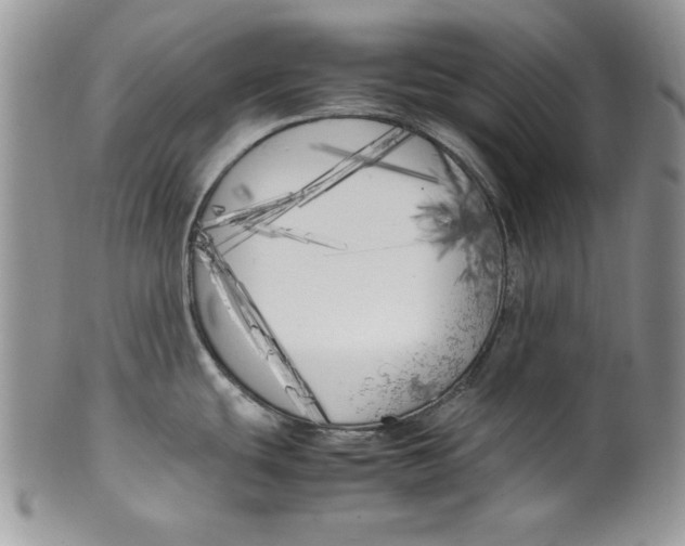 X0000099931439200806131352