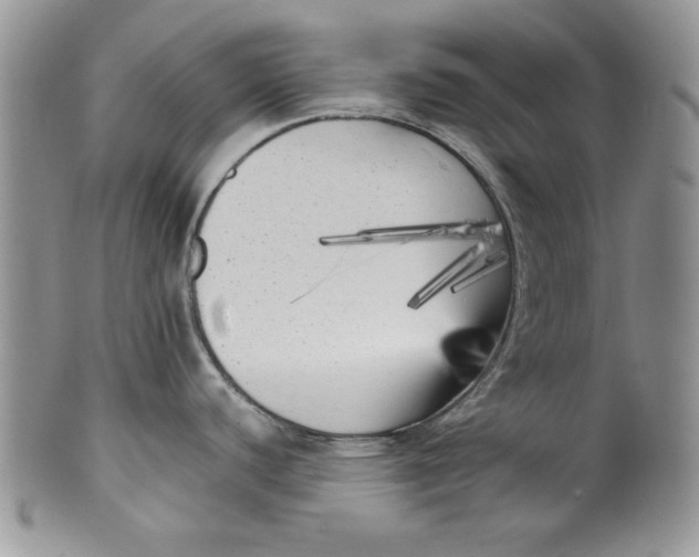 X0000099931440200806131352