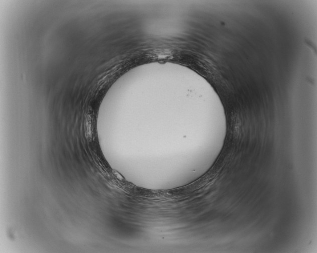 X0000099931442200806131351