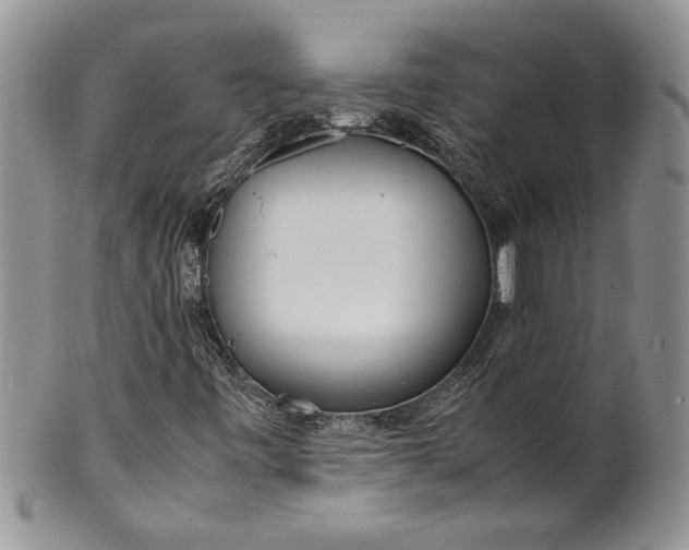 X0000099931443200806131351