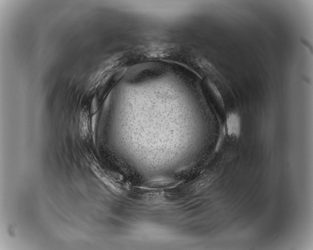 X0000099931444200806131351