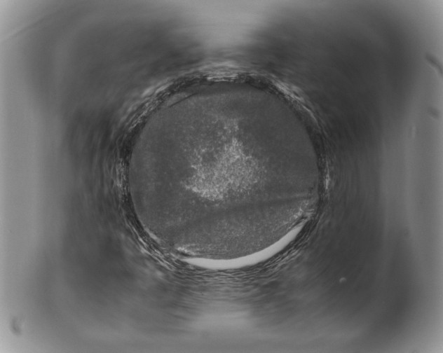 X0000099931445200806131351