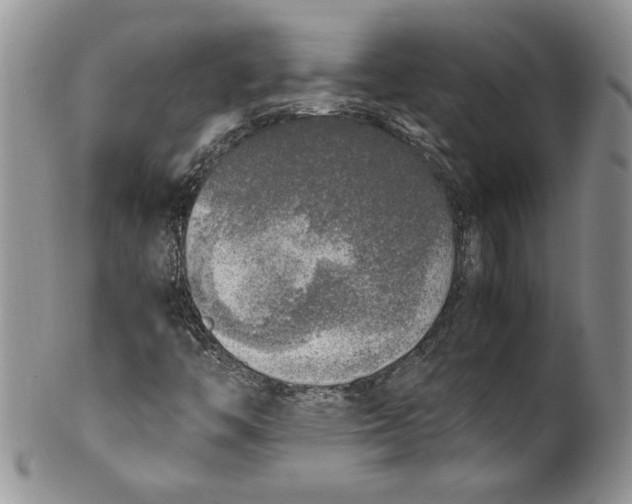 X0000099931446200806131351