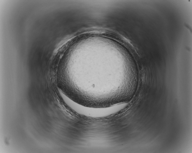 X0000099931448200806131351