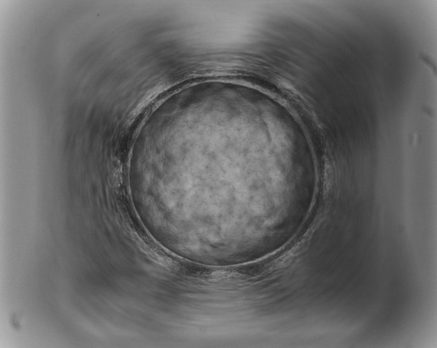 X0000099931449200806131351