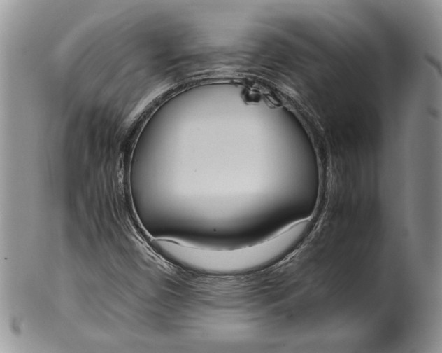 X0000099931450200806131351