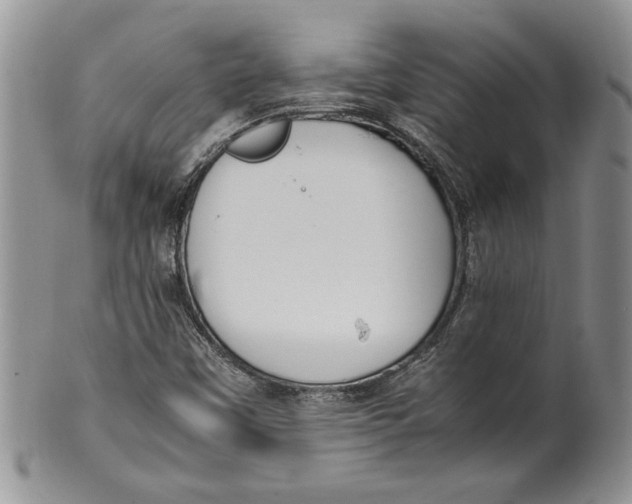 X0000099931451200806131351