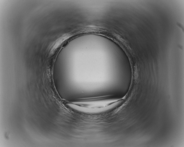 X0000099931453200806131351