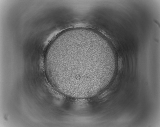 X0000099931454200806131351